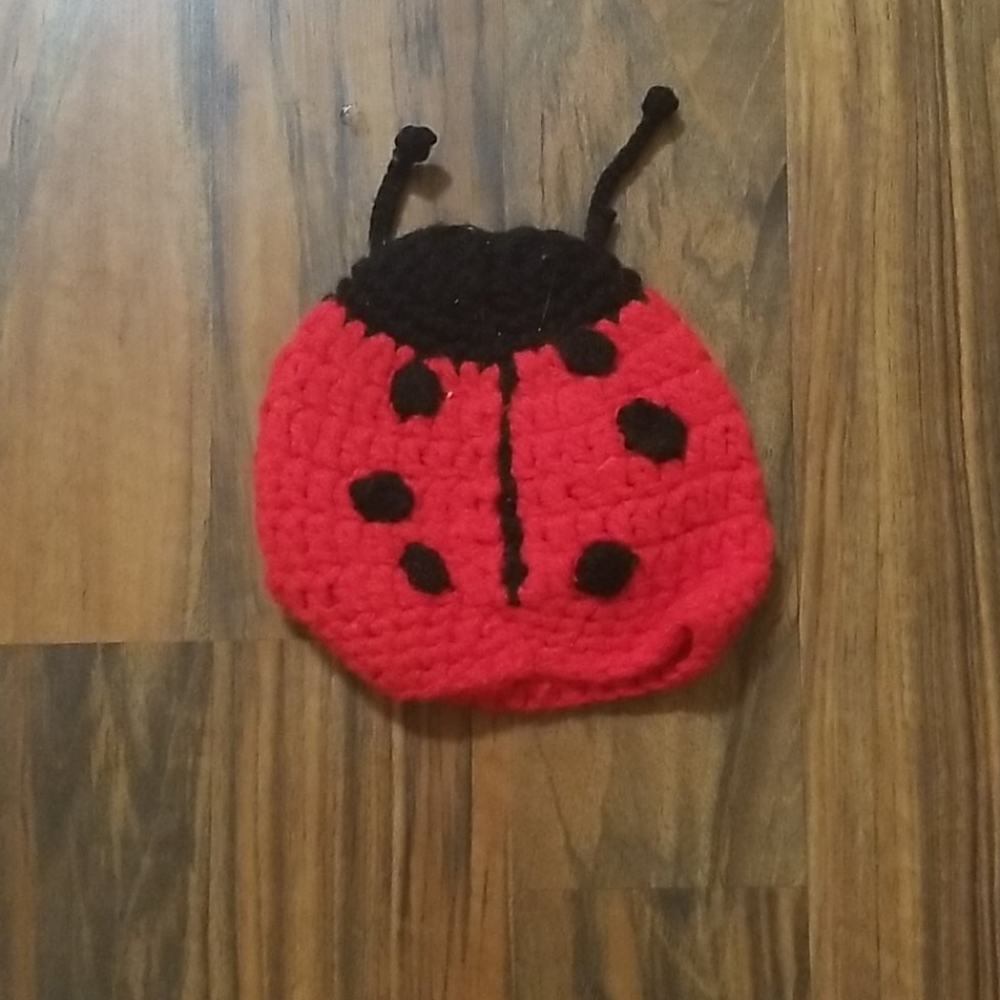 Baby crocheted hat, lady bug